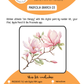 BEE CREATIVE Digital Paint by Number Kit {for Procreate} - MAGNOLIA BRANCH 03