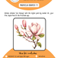 BEE CREATIVE Digital Paint by Number Kit {for Procreate} - MAGNOLIA BRANCH 11