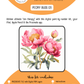 BEE CREATIVE Digital Paint by Number Kit {for Procreate} - PEONY BUD 03