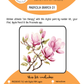 BEE CREATIVE Digital Paint by Number Kit {for Procreate} - MAGNOLIA BRANCH 01
