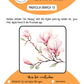 BEE CREATIVE Digital Paint by Number Kit {for Procreate} - MAGNOLIA BRANCH 15