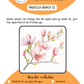 BEE CREATIVE Digital Paint by Number Kit {for Procreate} - MAGNOLIA BRANCH 10