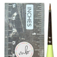 Melanie B’s 5 Piece Lime MINI DETAIL PAINT Brush Set - NEW