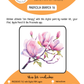BEE CREATIVE Digital Paint by Number Kit {for Procreate} - MAGNOLIA BRANCH 16